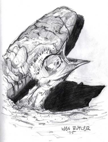 WBG-Design-Drawing-8